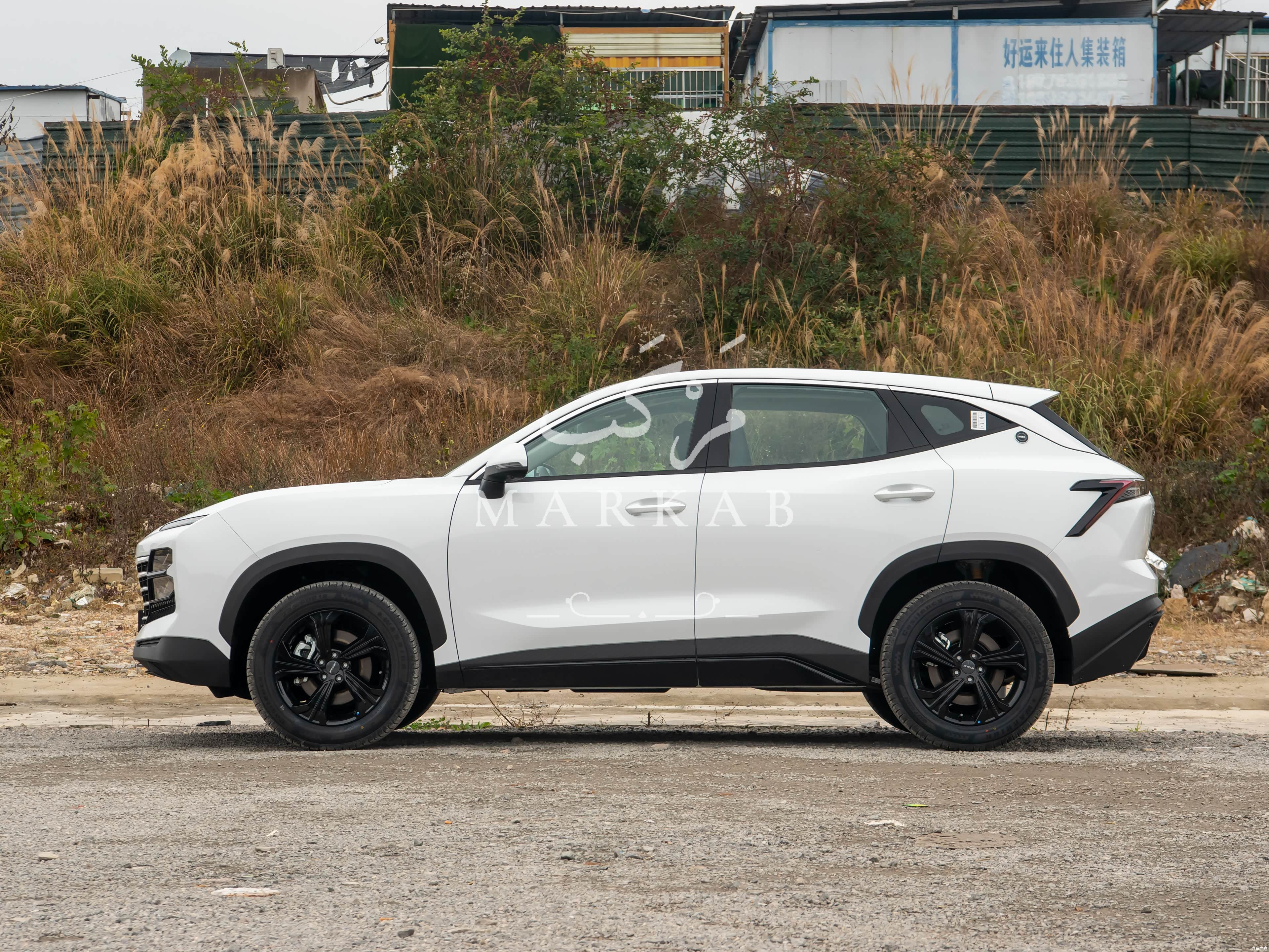 2026 Jetour Dasheng - 0 km - Available for export from China to Algeria - 12
