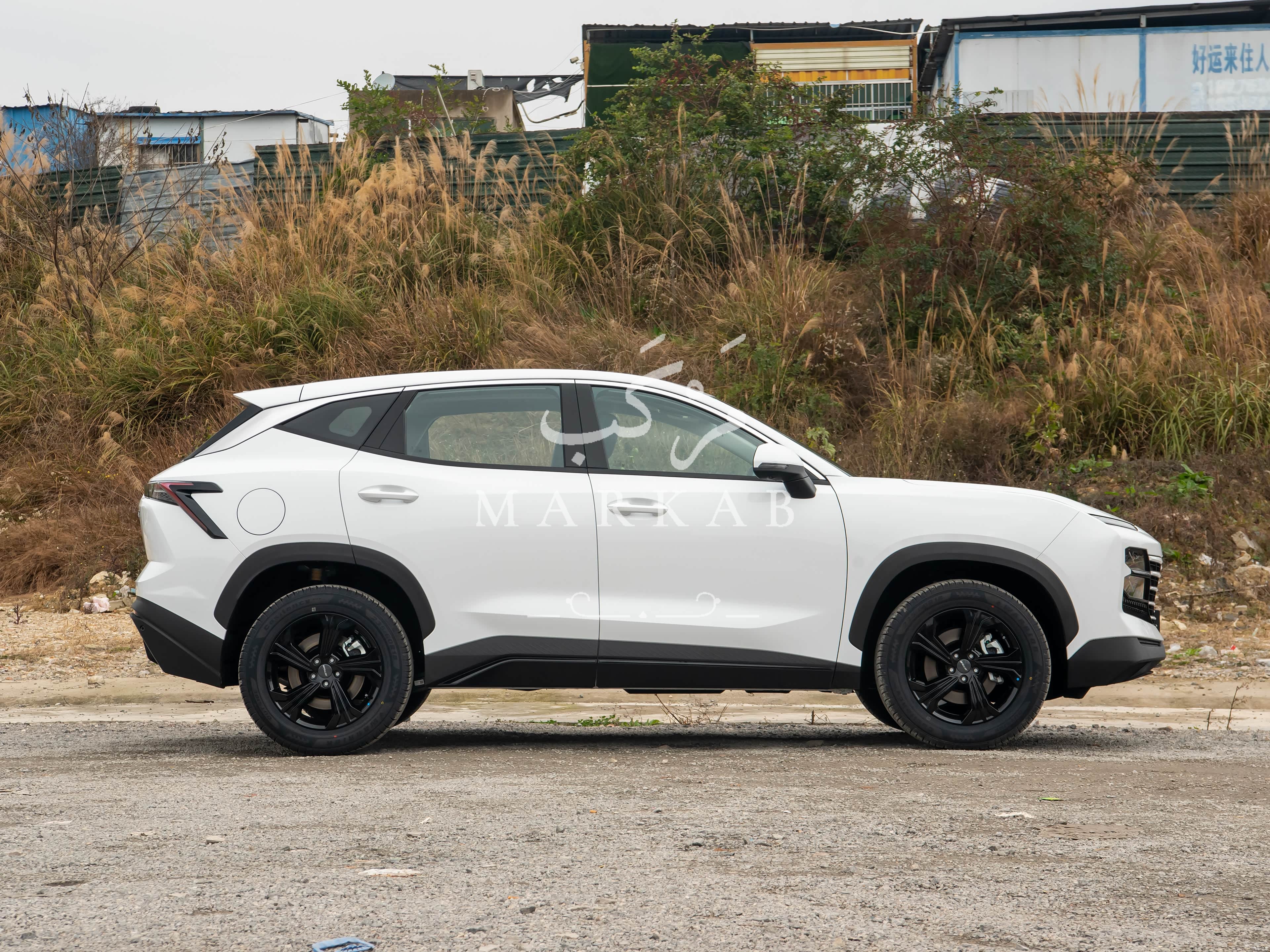 2026 Jetour Dasheng - 0 km - Available for export from China to Algeria - 16