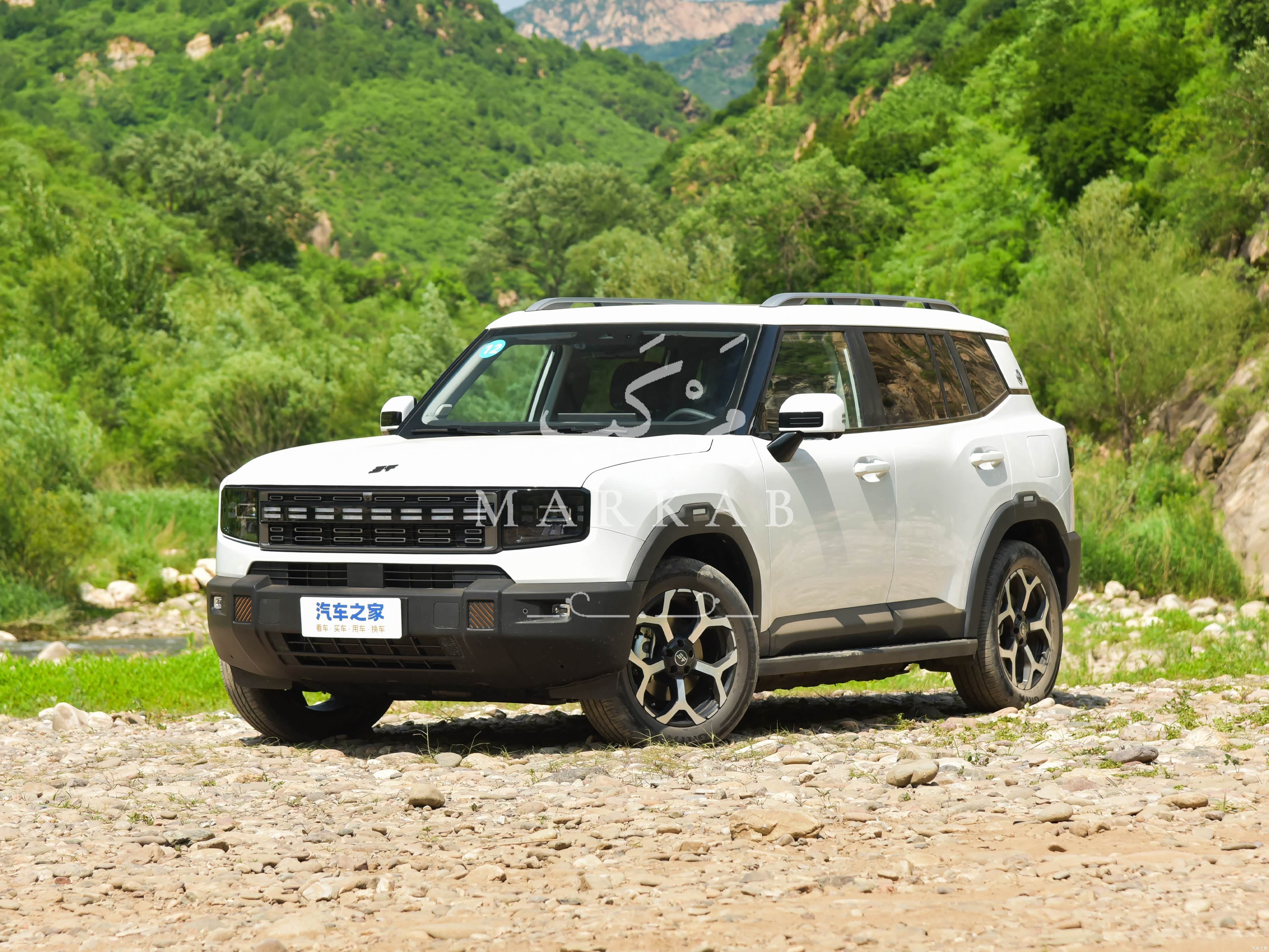 2025 Jetour T1 - 0 km - Available for export from China to Algeria - 18